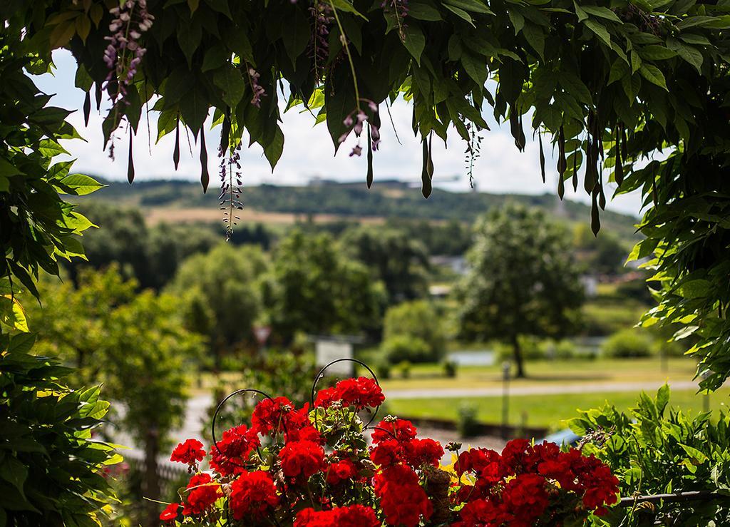 Hotel Zehnthof Юрциґ Екстер'єр фото