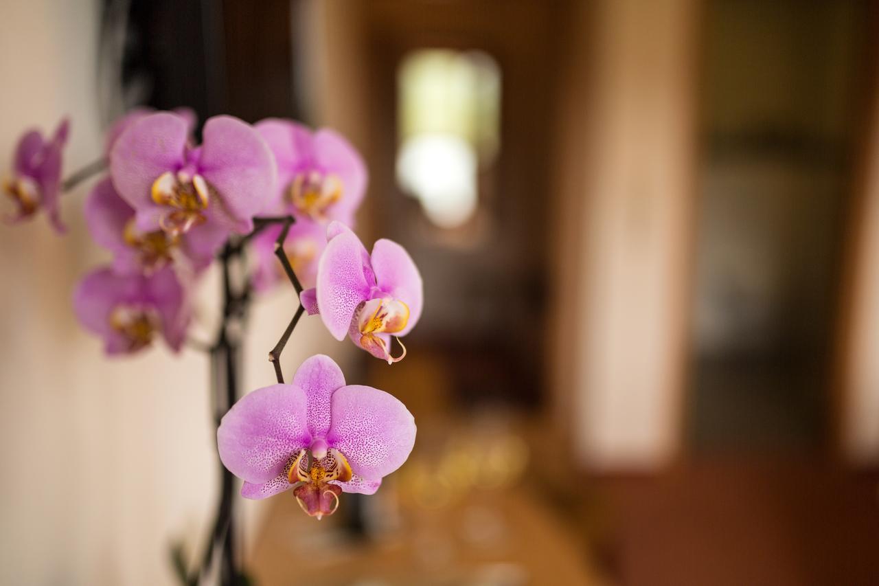 Hotel Zehnthof Юрциґ Екстер'єр фото